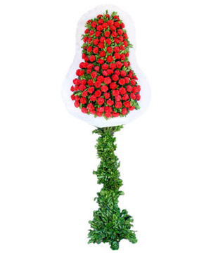 RED GREETNGS