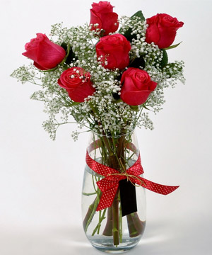 SIMPLE RED ROSES
