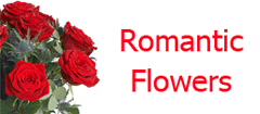 Romantic Flowers Collection